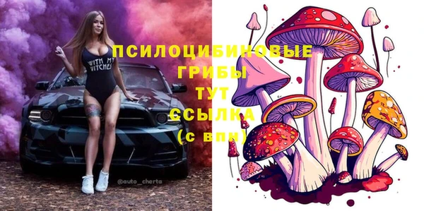 mdpv Надым