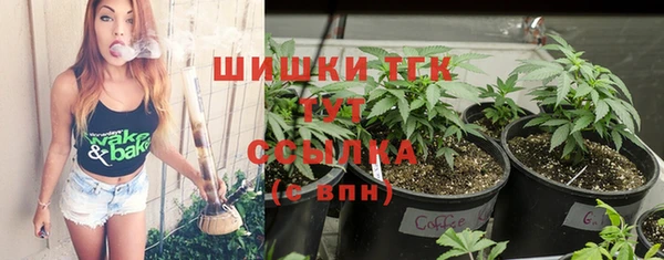 spice Михайлов