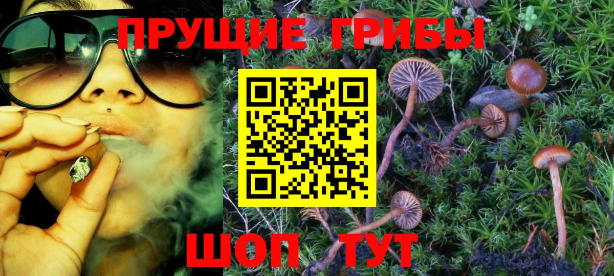 Галлюциногенные грибы Cubensis  Галлюциногенные грибы Psilocybe  Омск 