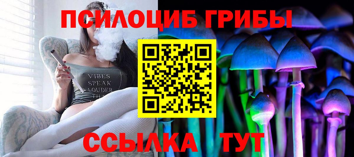 Галлюциногенные грибы Psilocybe Омск